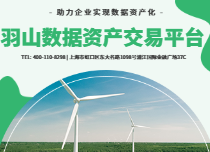 数据资产确权公司